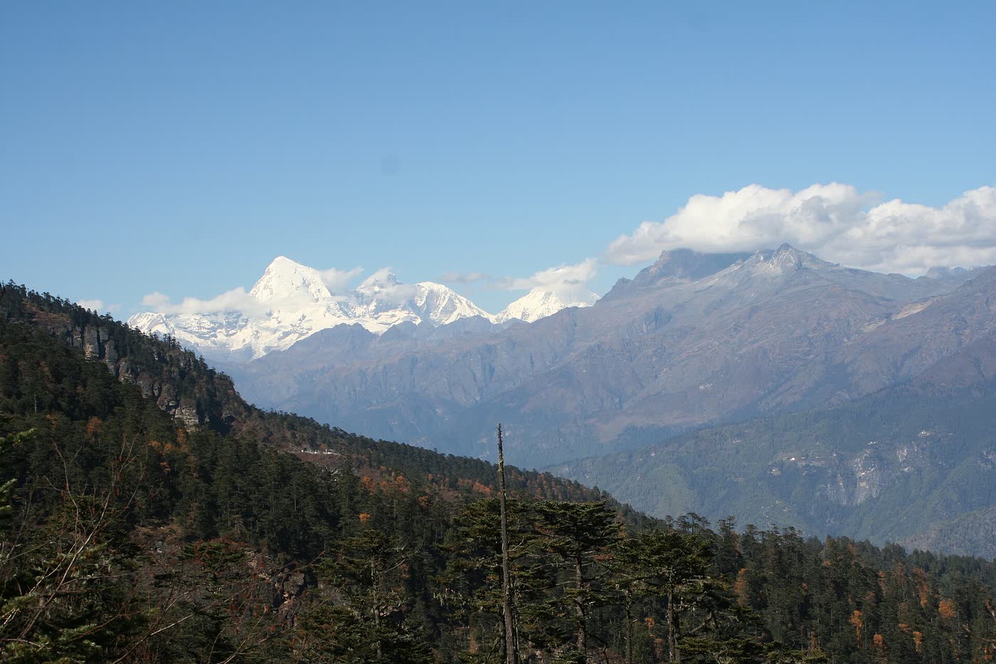 Jomolhari