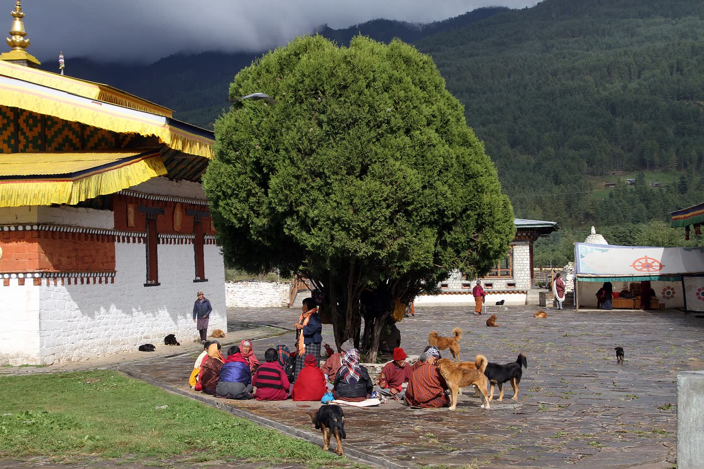 Jambay Lhakhang