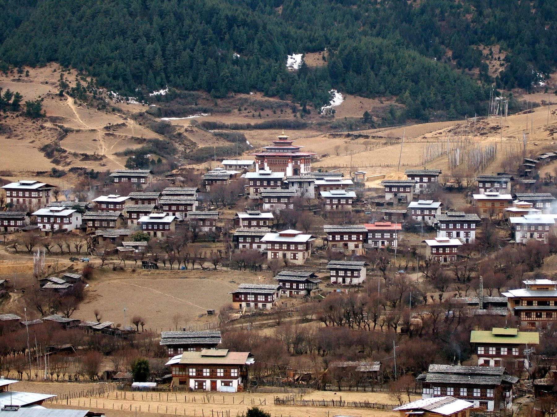 Living with Locals — Homestay Experience