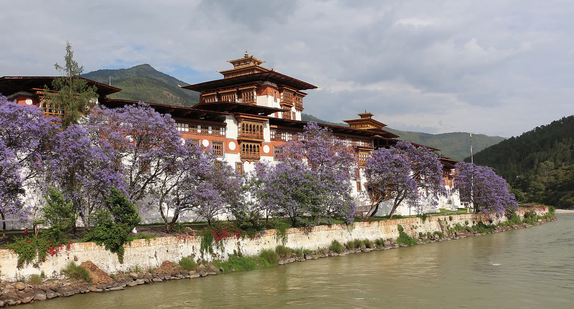 Spring Light: Dzongs & Jacaranda